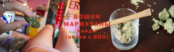 тгк Бронницы