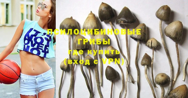 PSILOCYBIN Верхнеуральск