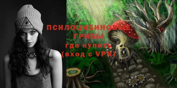PSILOCYBIN Верхнеуральск