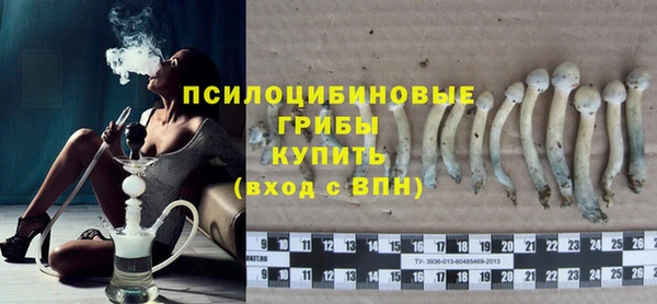 СК Бородино