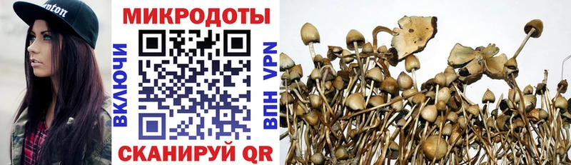 Галлюциногенные грибы Psilocybe  даркнет сайт  Еманжелинск 
